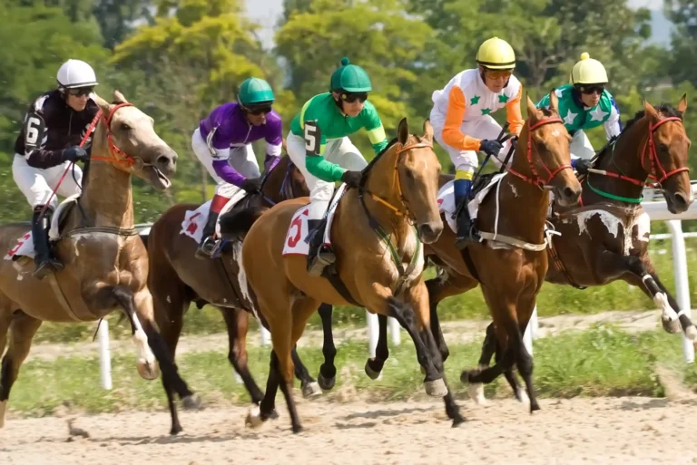 Top Picks for the Best Horse Racing Betting Sites in 2025 Top Picks for the Best Horse Racing Betting Sites in 2025